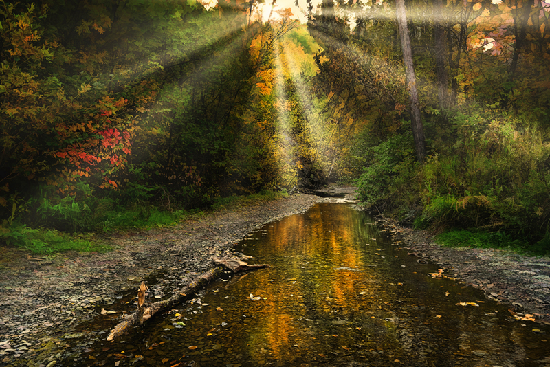 Sun Rays by Pat Stone